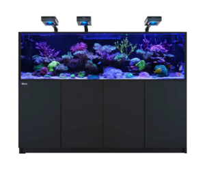 Red Sea REEFER-S 1000 G2+ Deluxe Aquarium w/ Three ReefLED 160S - 210 Gallons - Black