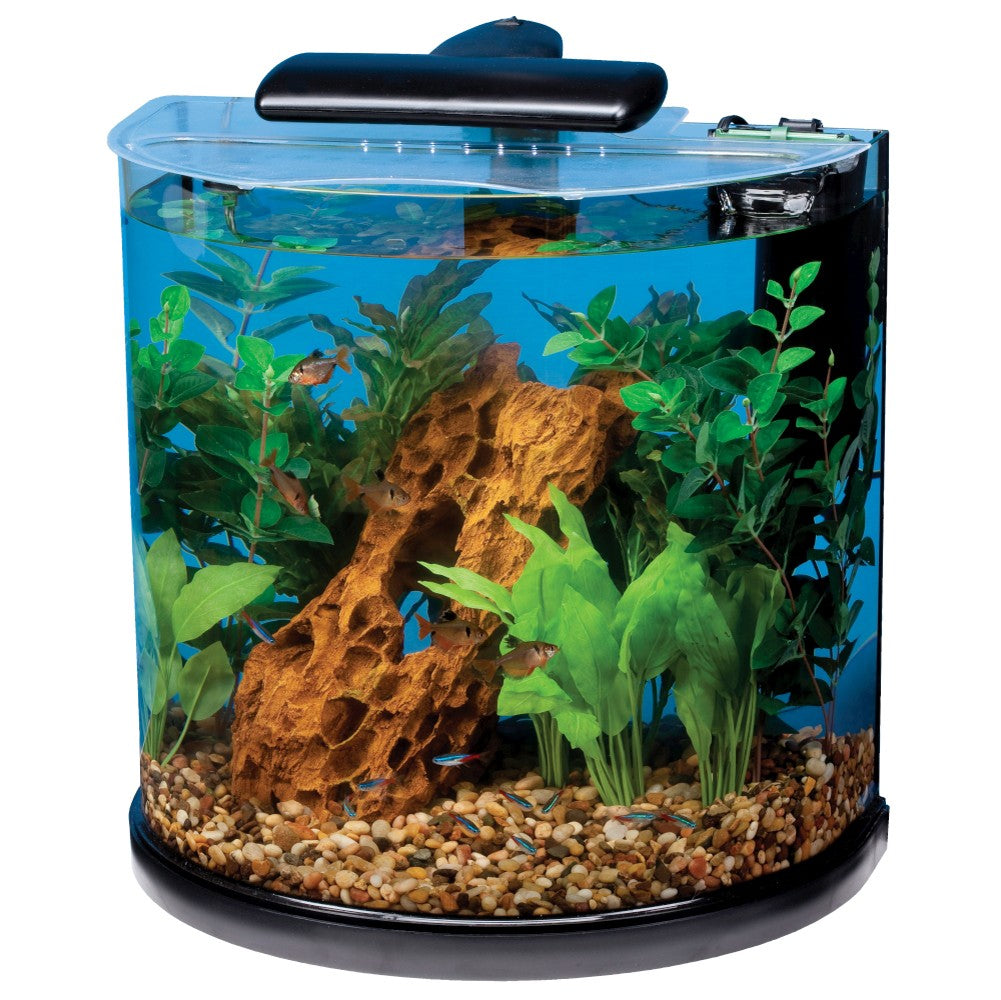 10 gallon fish tank themes