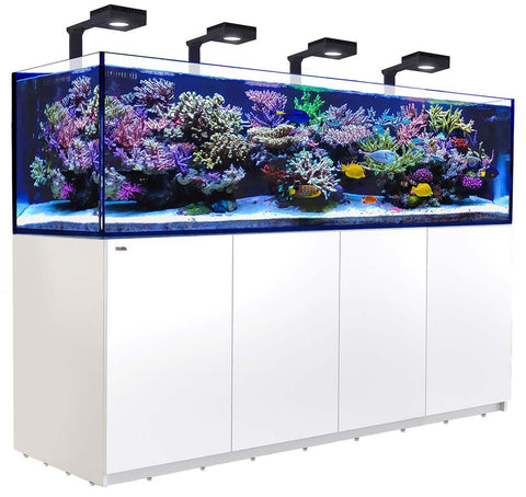 Red Sea REEFER DELUXE 3XL 900 G2+ Aquarium 240 Gallons With 4 x ReefLED 90 Light Fixtures